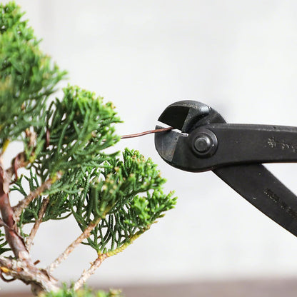 Wazakura Annealed Copper Bonsai Training Wire Made in Japan, Rust Resistant Outdoor Plant Cable