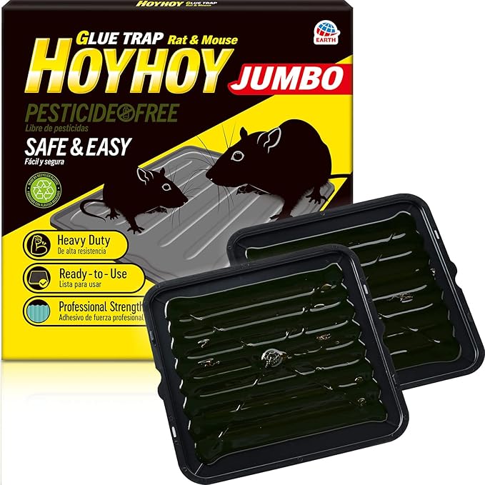 HOY HOY Jumbo Size Rat & Mouse Indoor/Outdoor Glue Trap 2 Large Traps [1 Pack] - Heavy-Duty