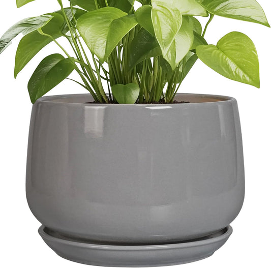 G EPGardening Ceramic Plant Pots - 9 Inch Modern Round Planter with Drainage and Plant Saucer for