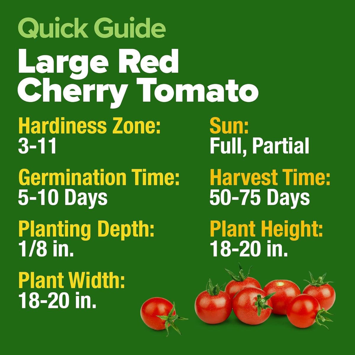 HOME GROWN Large Red Cherry Tomato Seeds 2 Pack (Solanum lycopersicum) - Approx.1000 Non-GMO