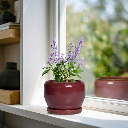 SQOWL 6 Inch Plant Pot - Ceramic Planter for Indoor Plants Outdoor, Round Planter with Drainage