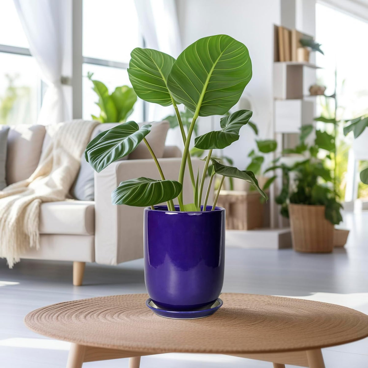 Ceramic Plant Pot - 8 Inch Planter for Indoor Plants Outdoor Flower Pot with Drainage Hole and