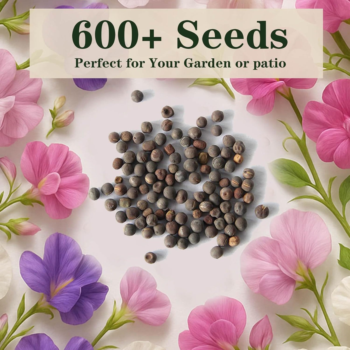 600+ Count Sweet Pea Seeds – Fragrant Flower Seeds, Easy to Grow with High Germination, Colorful