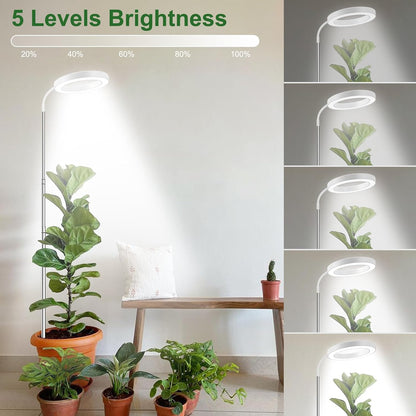 Wolezek Grow Lights for Indoor Plants Full Spectrum, 80 LEDs 3 Colors, 65in Large Plant Lights for