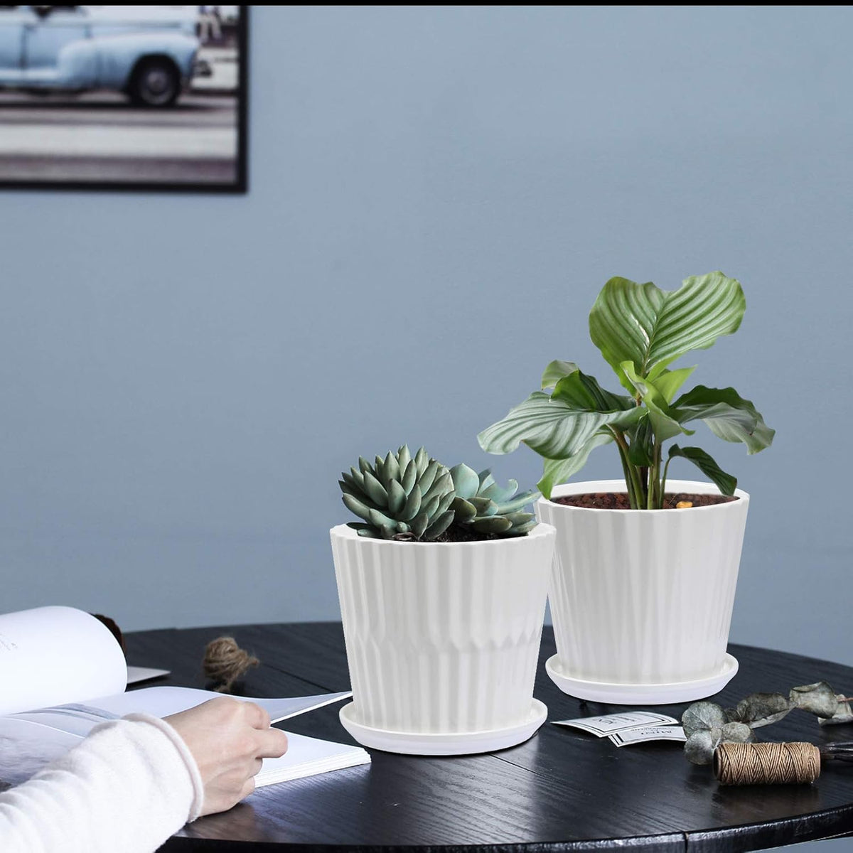 Plant Pots - 6.7 Inch Cylinder Ceramic Planters with Connected Saucer, Pots for Succuelnt and