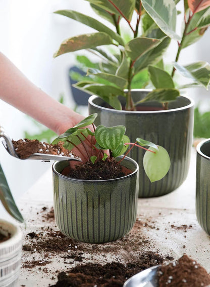 LE TAUCI Fluted Ceramic Planters Set of 3 – 8.3/7 / 5.7 in Dark Olive Reactive Cylinder Indoor