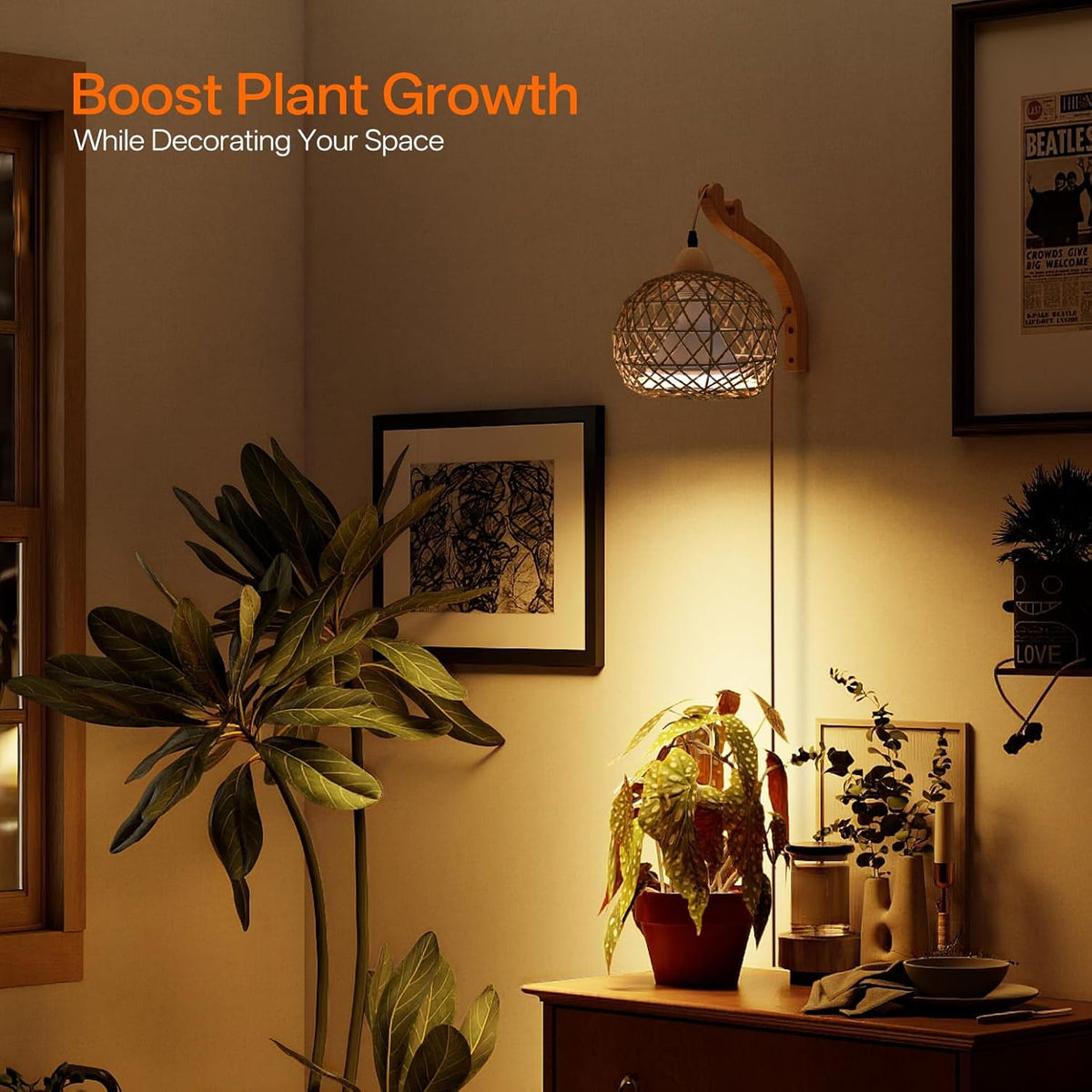 Bstrip Hanging Grow Lights for Indoor Plants, 18W Full Spectrum, Boho Rattan Lantern Shade, 3800K