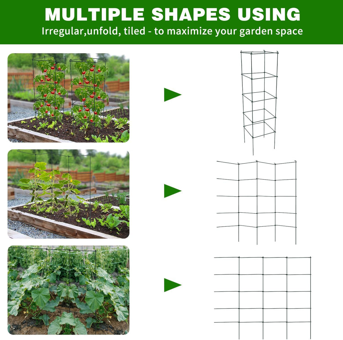 6 Packs Tomato Cages for Garden, 12"×12"×48" Plant Support Cage with Different Spacing, Green Metal