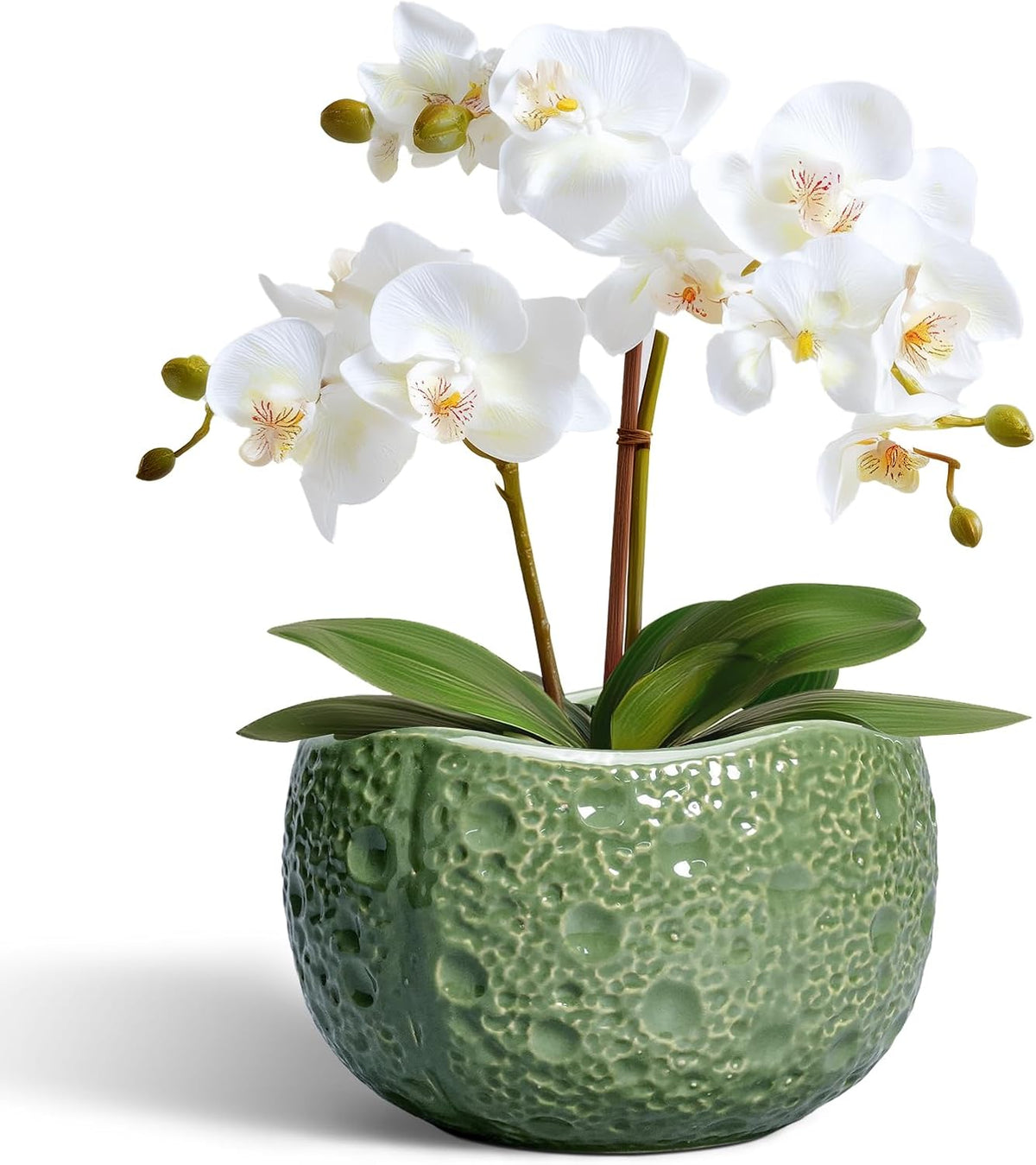 6 Inch Plant Pot - Orchid Pot with Drainage Hole, Ceramic Planter for Indoor Outdoor, Decorative