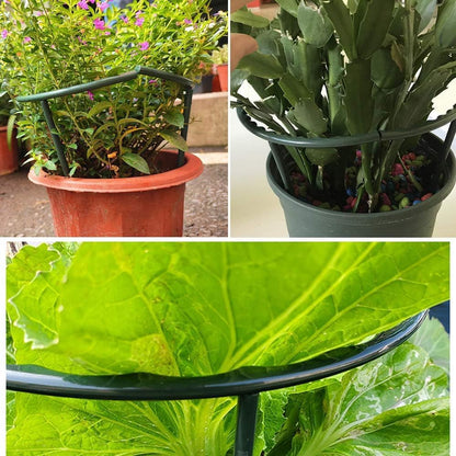 10 Pack Plant Support Plant Stakes Metal Half Round Search Support Ring Small Plastic Cage Holder