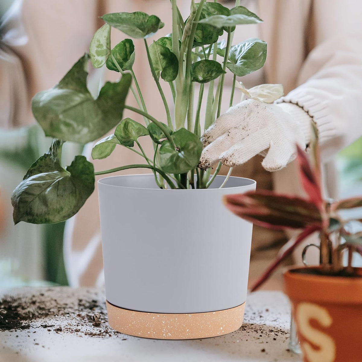QCQHDU 6.5 inch Plant Pot, 2 Pack Planters for Indoor Plants with Drainage Holes & Saucer, Outdoor