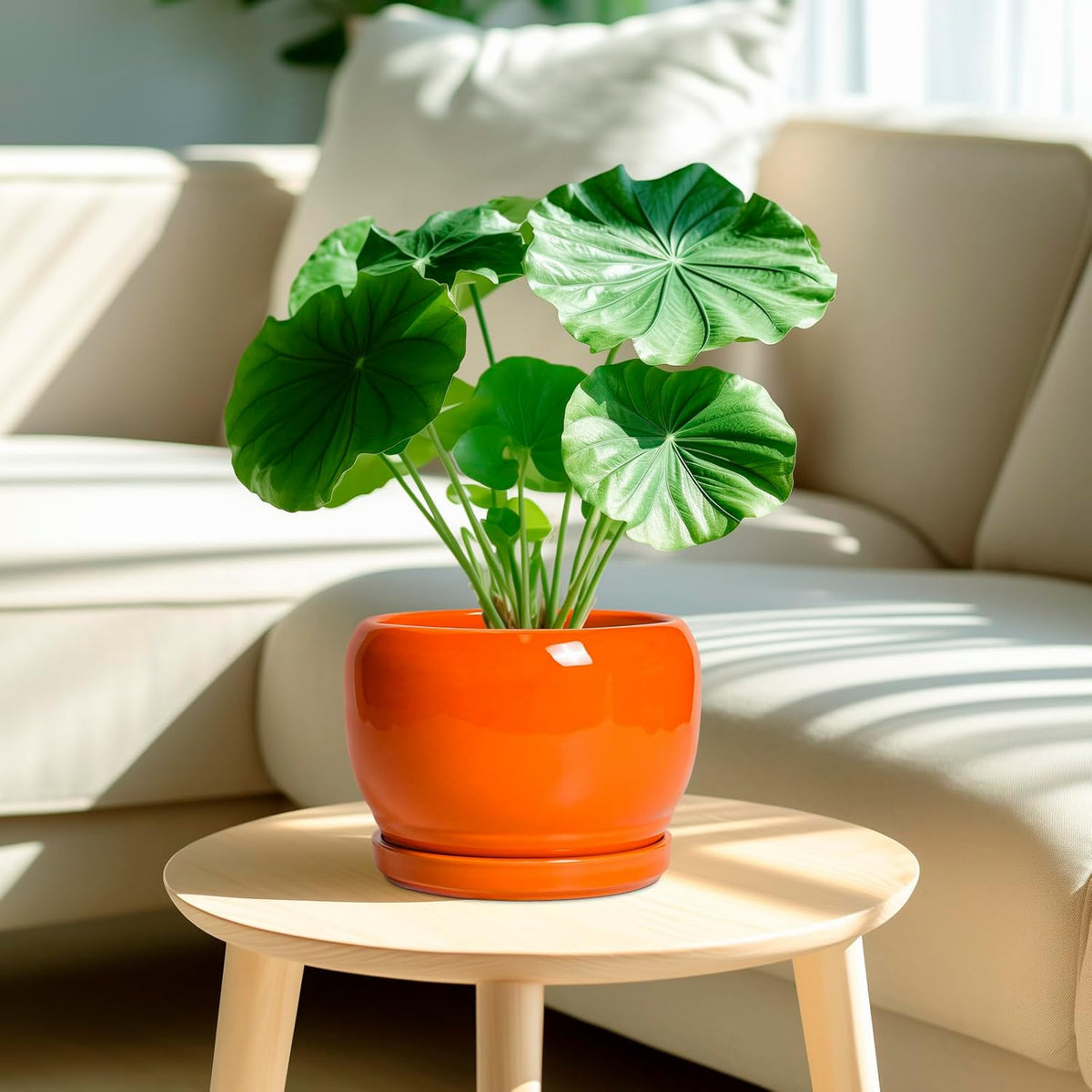 SQOWL Ceramic Pot for Plants - 8 Inch Plant Pot Indoor Outdoor, Modern Round Planter with Drainage