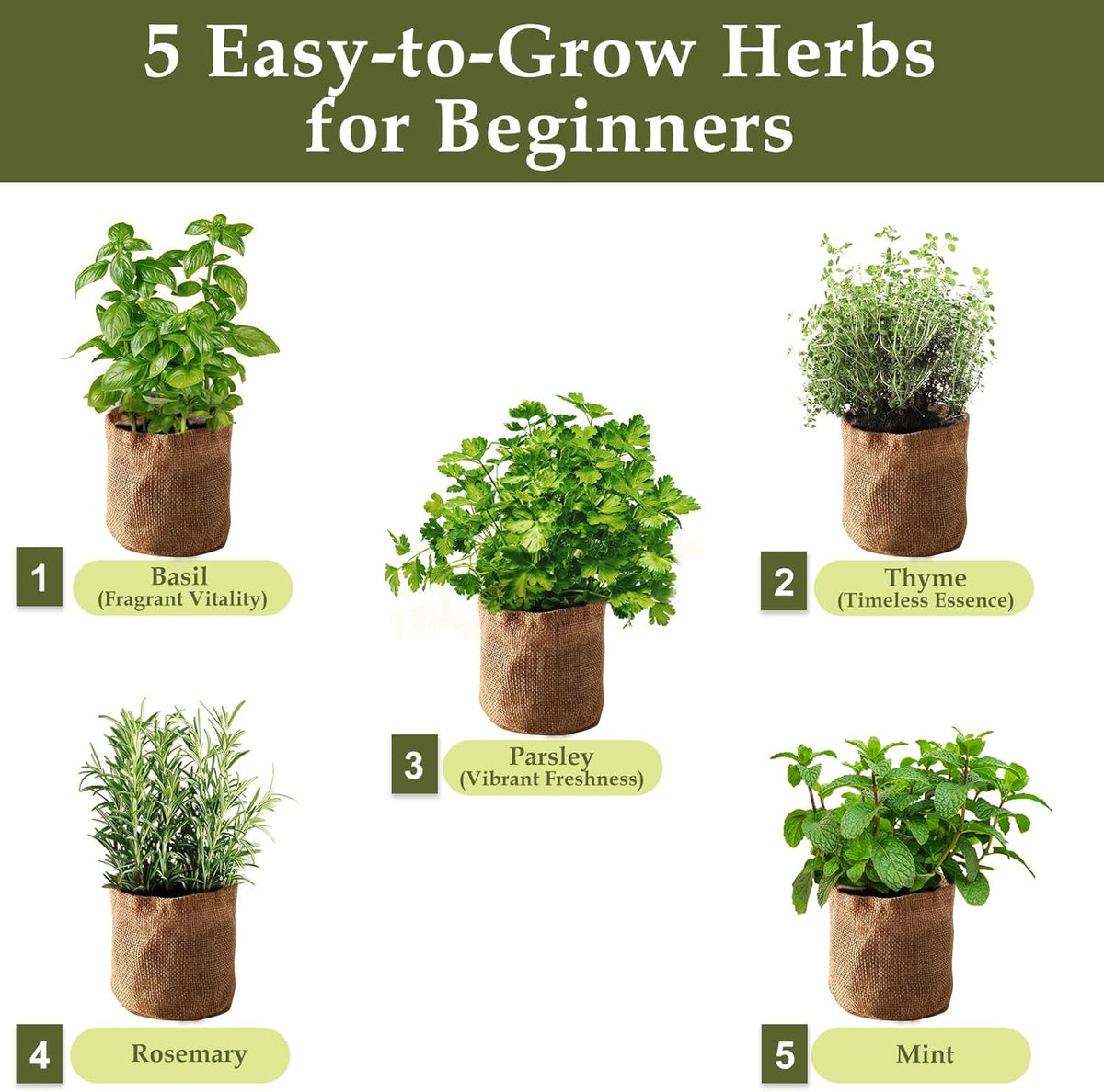 5 Herb Garden Planter Indoor with Wooden Box, Home Kitchen Seed Starter Kit Including Basil, Thyme
