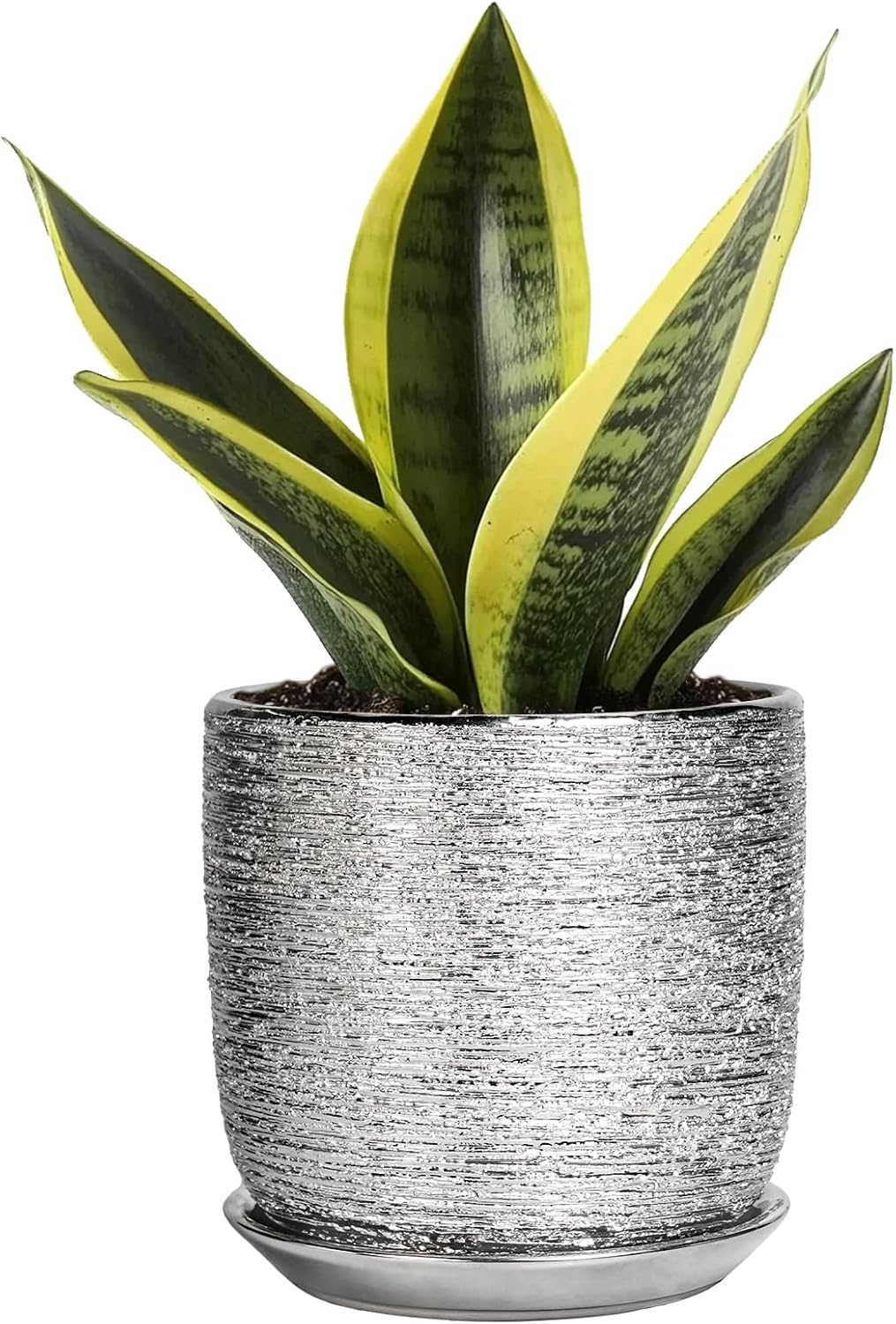 Ceramic Plant Pot 5 Inch - Indoor Planter with Drainage Hole and Saucer, Round Modern Flower Pot
