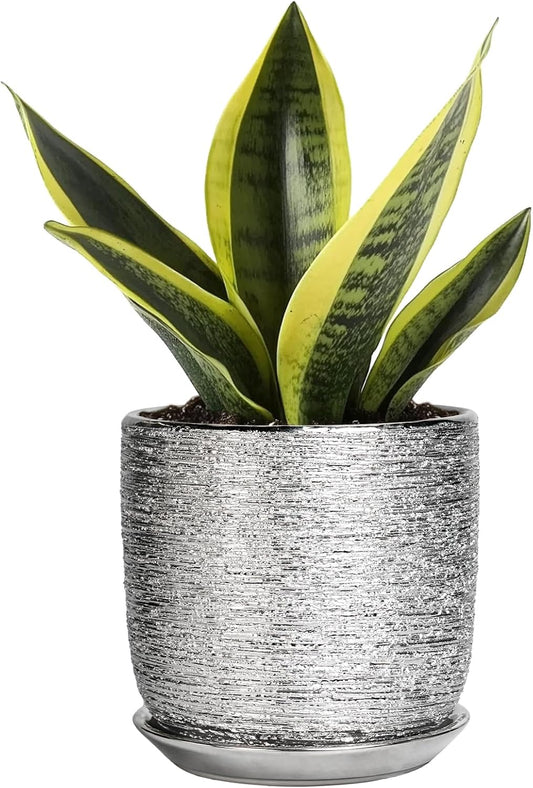 Ceramic Plant Pot 5 Inch - Indoor Planter with Drainage Hole and Saucer, Round Modern Flower Pot