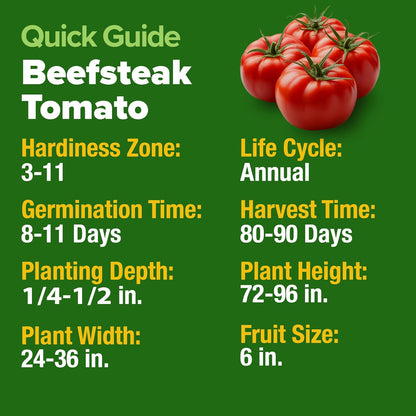 HOME GROWN Beefsteak Tomato Seed 2Pack - 600 Heirloom Tomato Seeds for Planting Outdoors