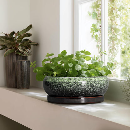 Bonsai Pots - 13 Inch Ceramic Succulent Planters Indoor, Round Shallow Planter with Drainage Hole
