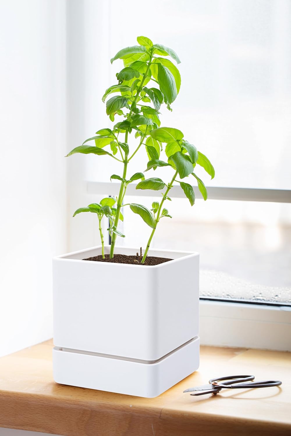 4 Inch Herb Planter Pot, Plastic Planter with Drainage Holes and Saucer, Modern Decorative