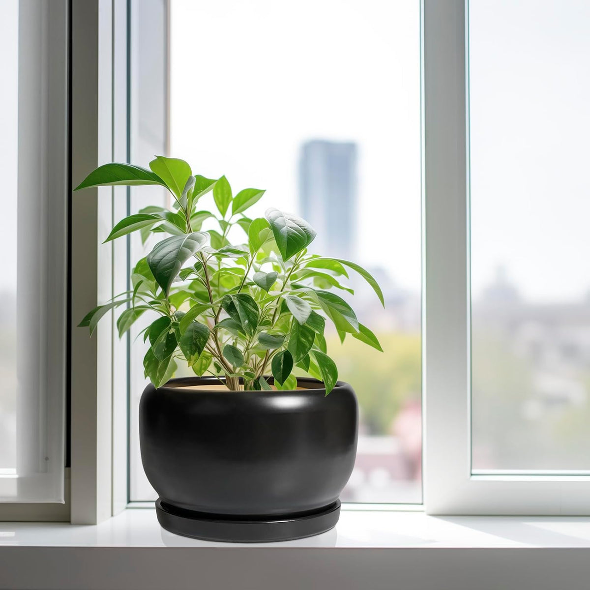 SQOWL Ceramic Flower Pot - 10 Inch Planter with Drainage Hole and Saucer, Modern Large Plant Pot