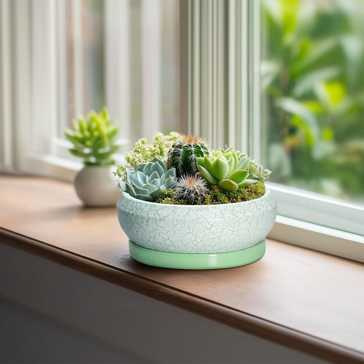 Succulent Pot 6 Inch - Ceramic Bonsai Pots Indoor Outdoor, Shallow Plant Pots with Drainage Hole