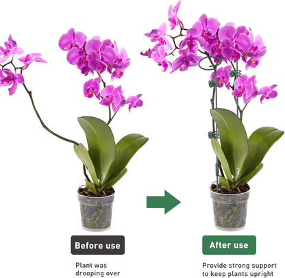 4 Set Metal Plant Sticks Support Tall 48 Inch Adjustable Plants Stem Support Rod Amaryllis Holder