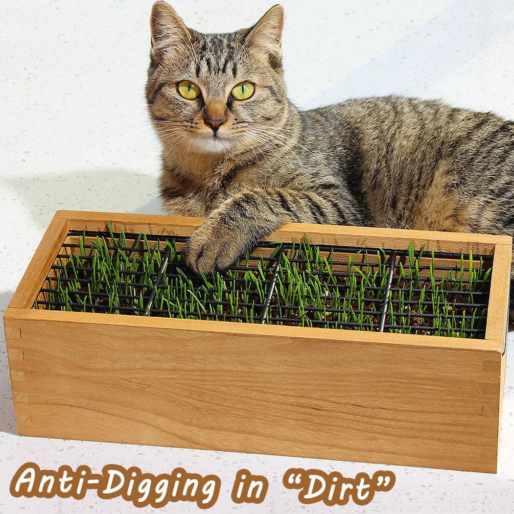 Wooden Cat Grass Planter (no Seeds Included) with Potting Soil Disks, Anti-Digging Grid and
