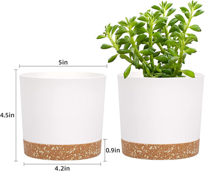 QCQHDU 5 inch Plant Pot, 2 Pack Planters for Indoor Plants with Drainage Holes & Saucer, Outdoor
