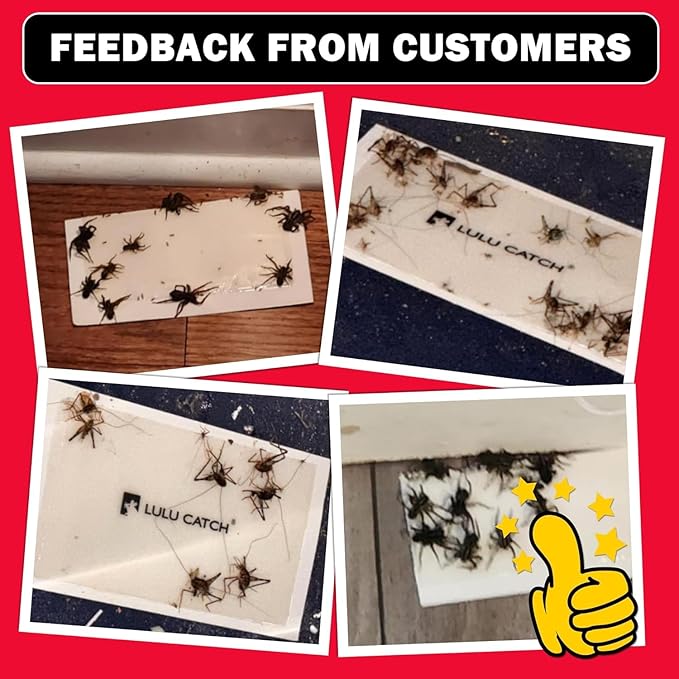 LULUCATCH Cricket & Insect Glue Traps 24 Pack, Adhesive Bug Catcher, Pre-Baited Spider Scorpion