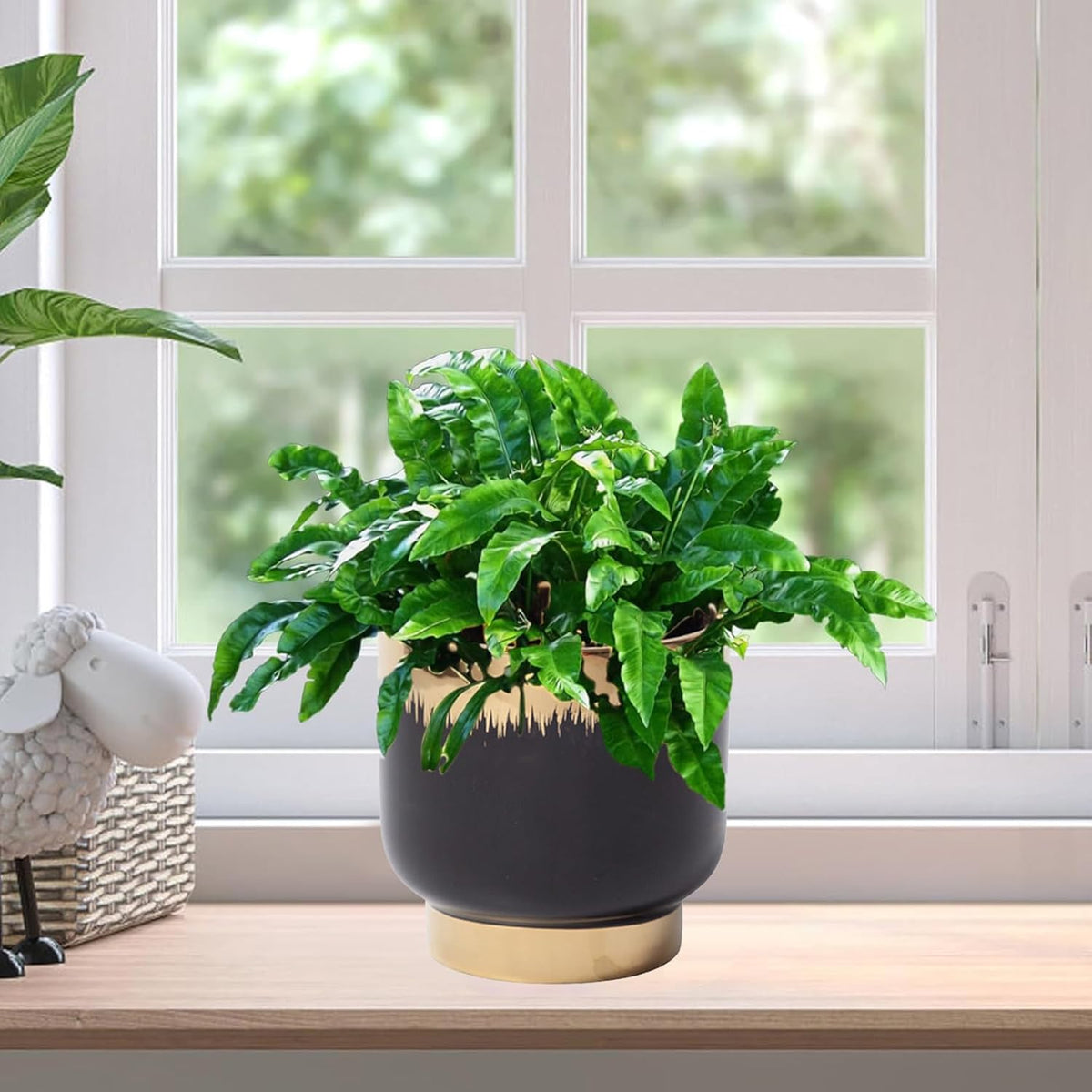 LB Black Gold Ceramic Planters for Indoor Plants, Succulent Plant Pots Ceramic Plant Pot, Modern