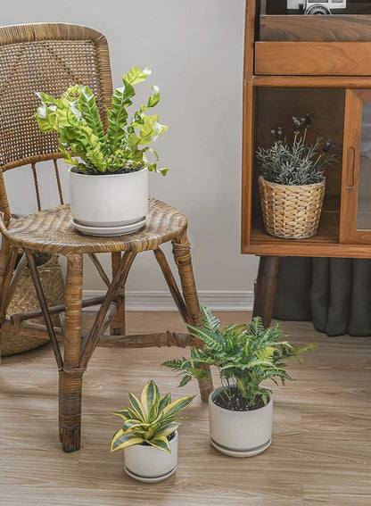 LE TAUCI Ceramic Pots for Plants, 6.8 Inch Plant Pots with Drainage Hole & Saucer, Modern Planter