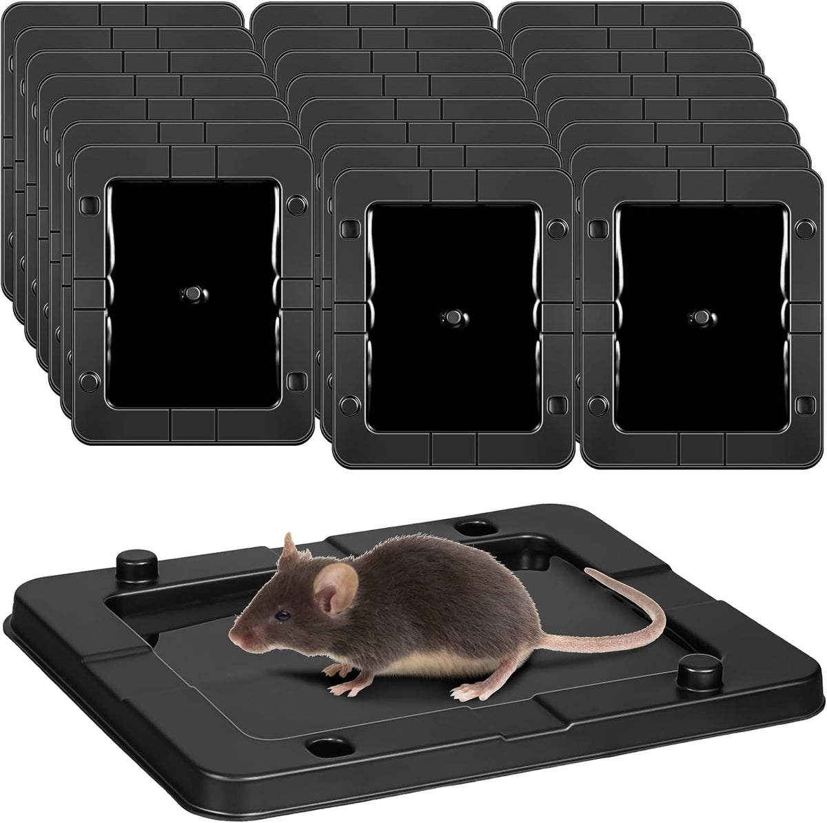 Qualirey 24 Pack Mouse Insect Glue Traps Bulk Strong Sticky Mouse Traps Large Baited Glue Trays for