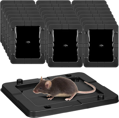Qualirey 24 Pack Mouse Insect Glue Traps Bulk Strong Sticky Mouse Traps Large Baited Glue Trays for