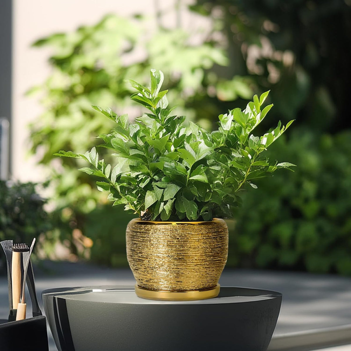 SQOWL Ceramic Planter - 6 Inch Plant Pot Indoor Outdoor, Modern Round Planter with Drainage Hole