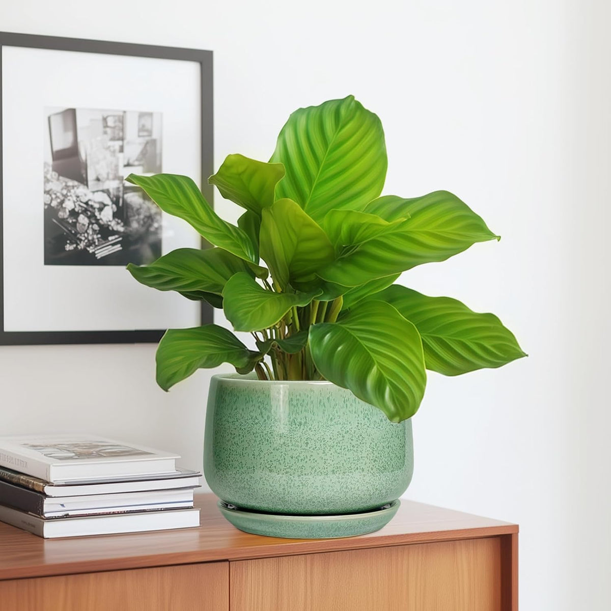 G EPGardening Ceramic Plant Pot - 7 Inch Ceramic Planter for Indoor Outdoor Plants, Flower Pot with