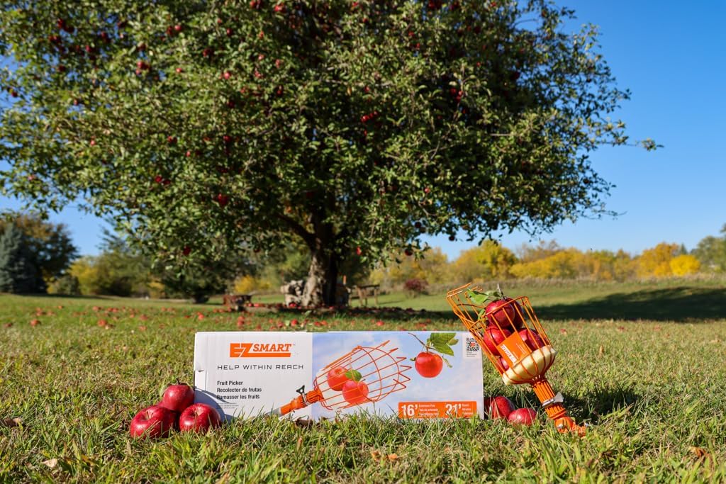 21ft Reaching Fruit Picker with Lightweight Rigid Pole – Patented Compact Foldable Design with