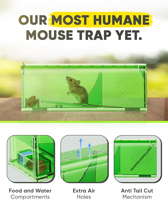 Motel Mouse Humane Mouse Traps No Kill Live Catch and Release 4 Pack - Reusable, Easy to Use &