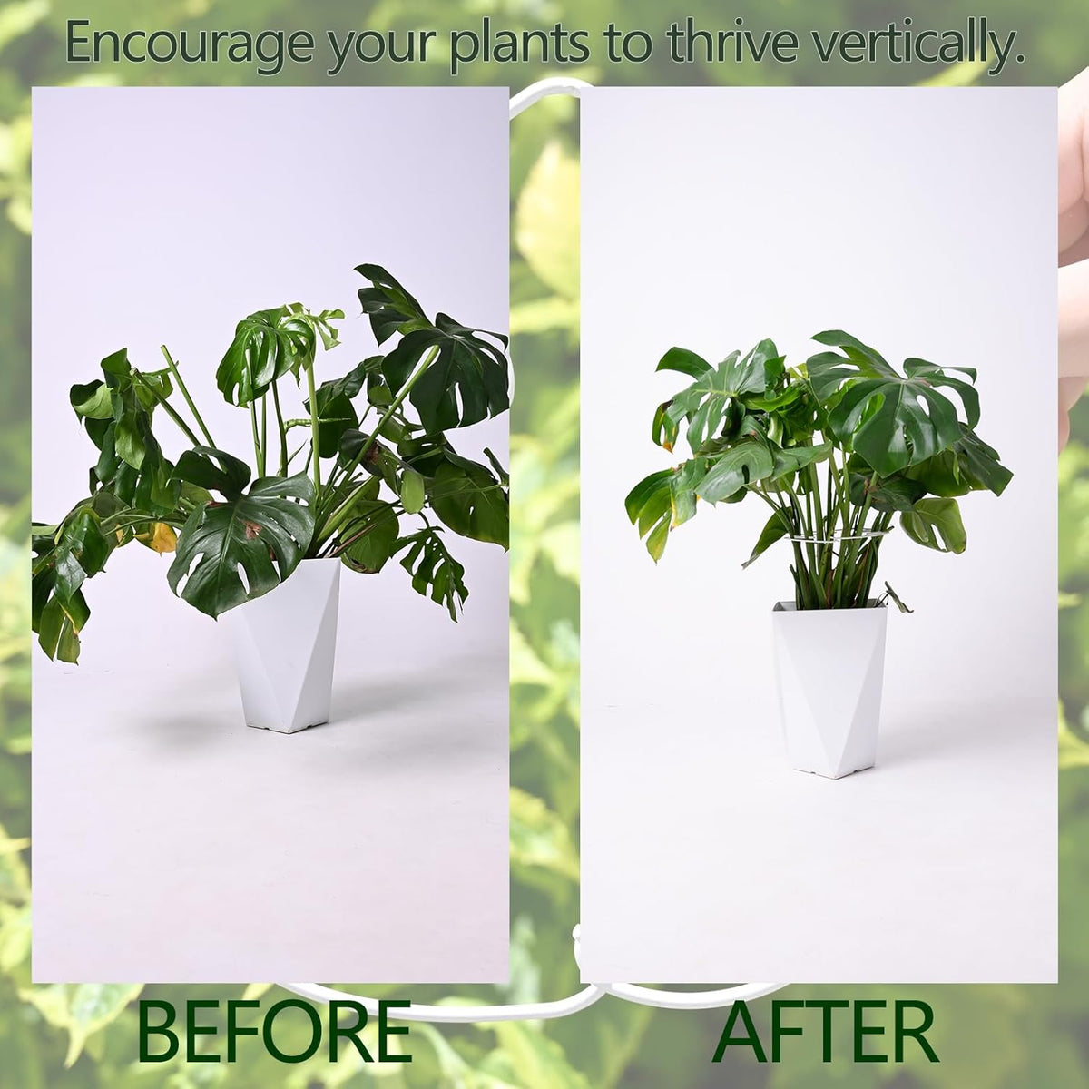 5PCS Monstera Plant Stem Support White - 11x9.4 inches, Durable Adjustable Leaf Supports for Indoor
