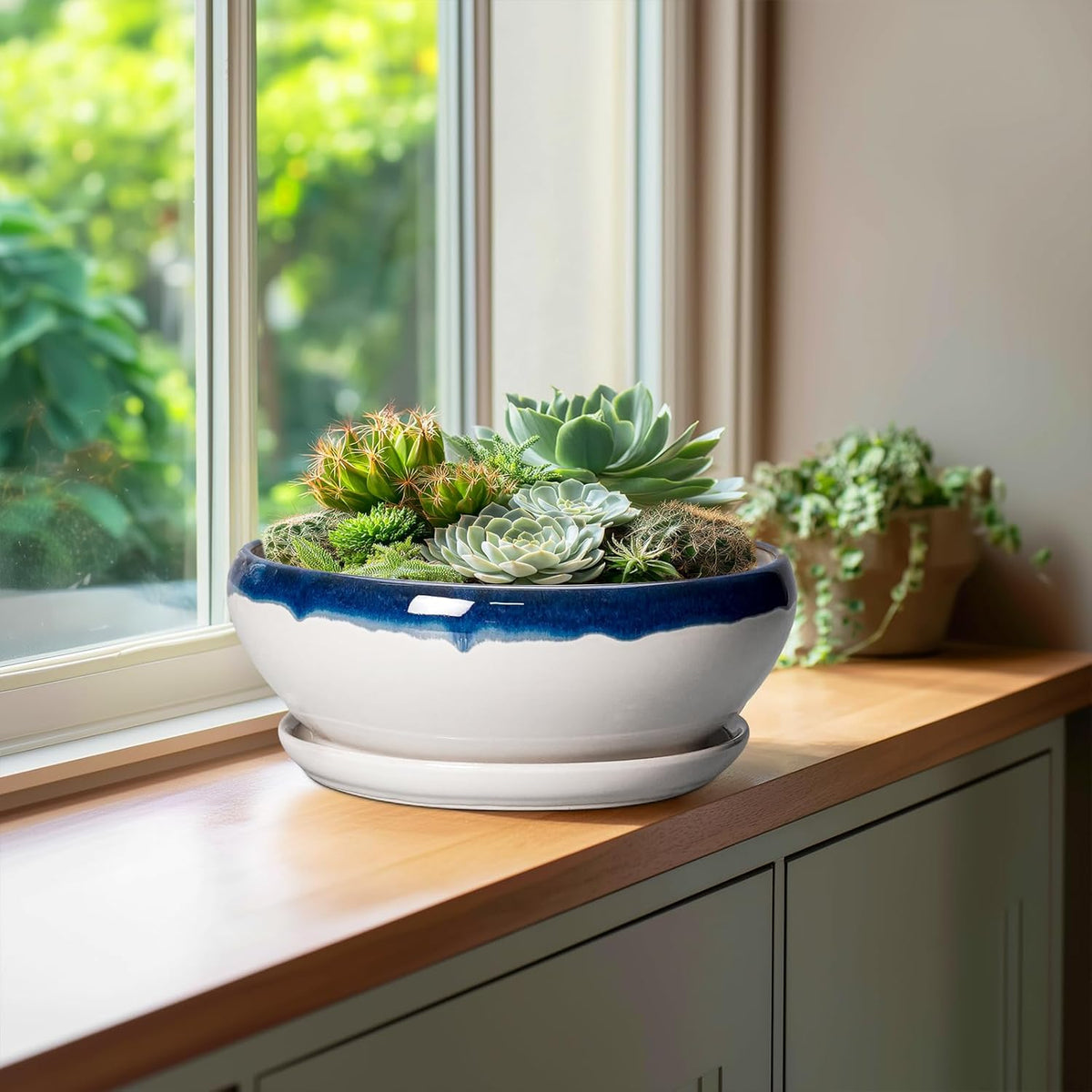 SQOWL Bonsai Pots - 10 Inch Ceramic Pots for Succulents Indoor Outdoor, Shallow Planter with