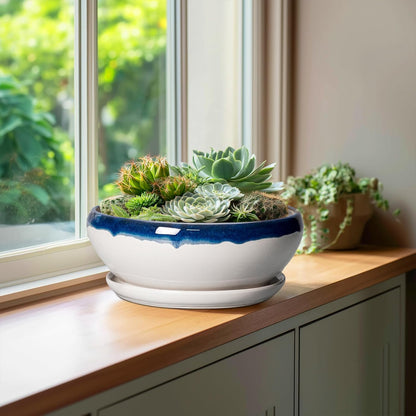 SQOWL Bonsai Pots - 10 Inch Ceramic Pots for Succulents Indoor Outdoor, Shallow Planter with