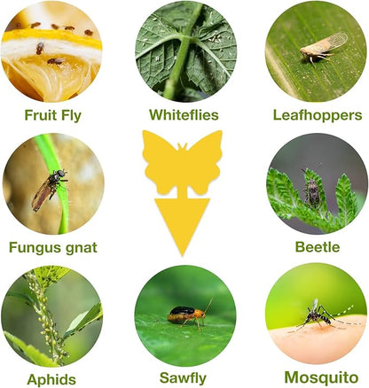 120 Pack Fungus Gnat Traps for House Indoor, Fungus Traps Fruit Fly Traps for Indoors Gnats Sticky