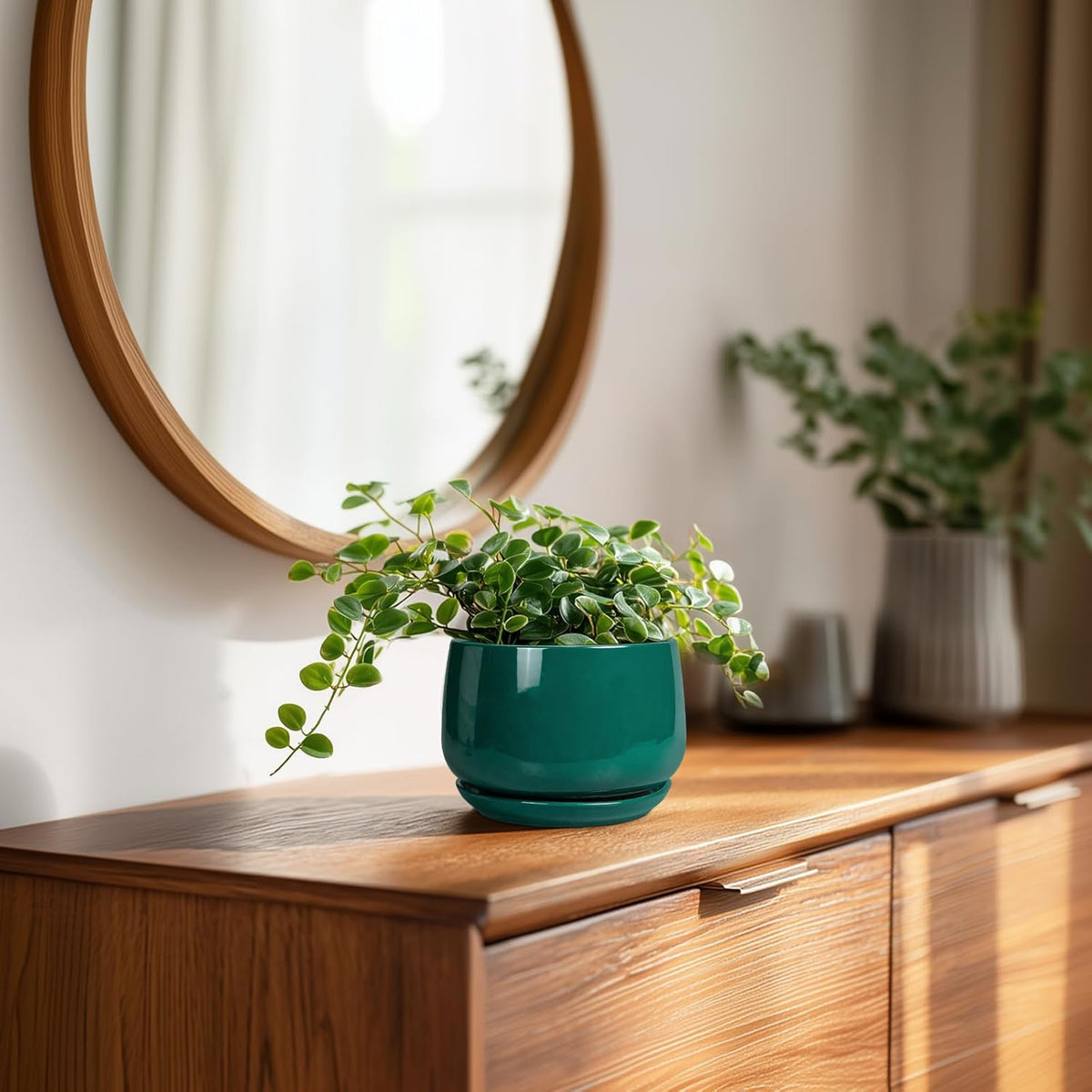 G EPGardening 4 inch Plant Pots - Small Ceramic Planter with Drainage Hole & Tray, Succulent Pots