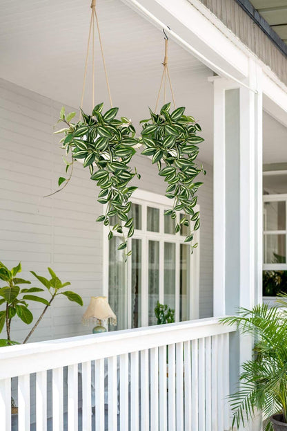 DILATATA Fake Hanging Plants Artificial Hanging Plants 26" Faux Wandering Jew Hanging Leaves Plants