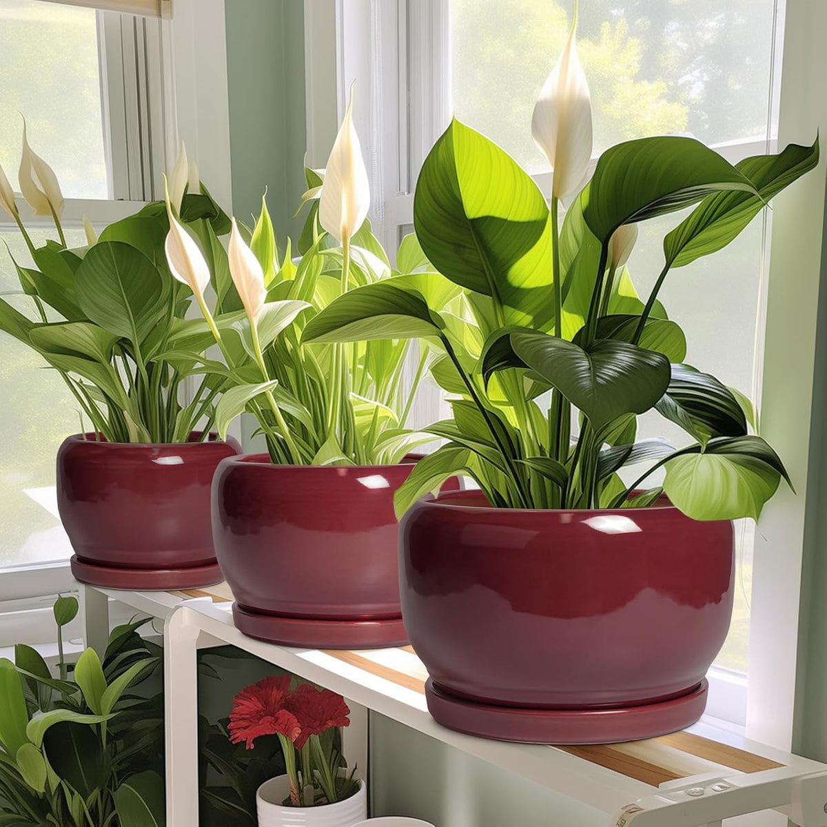 SQOWL 6 Inch Plant Pot - Ceramic Planter for Indoor Plants Outdoor, Round Planter with Drainage