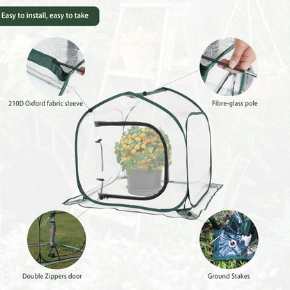 Mini Transparent Pop Up Greenhouse for Indoor and Outdoor Backyard Gardens - Portable Large Space