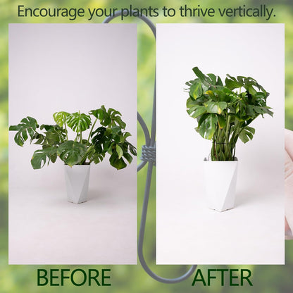 Black Monstera Plant Support Hook - 6.5 * 6.5IN -5 Piece Set, Durable Metal Stem Supports for