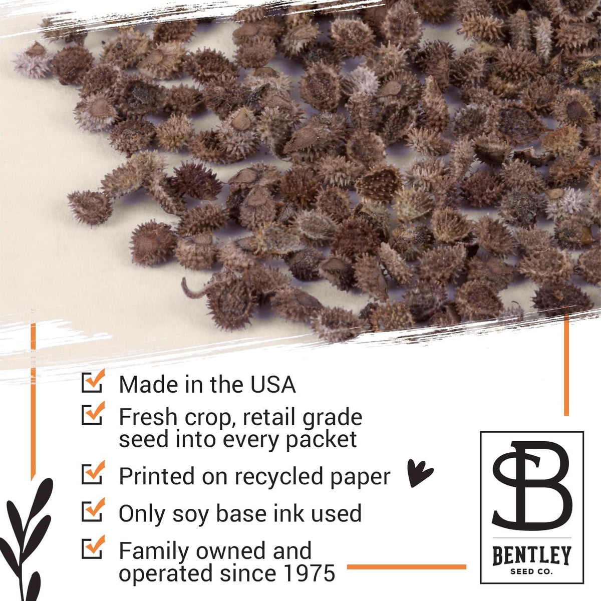 Bentley Seed Co. | Seeds of Remembrance | Pre Filled Non-GMO, Non-Coated Forget Me Not Seeds