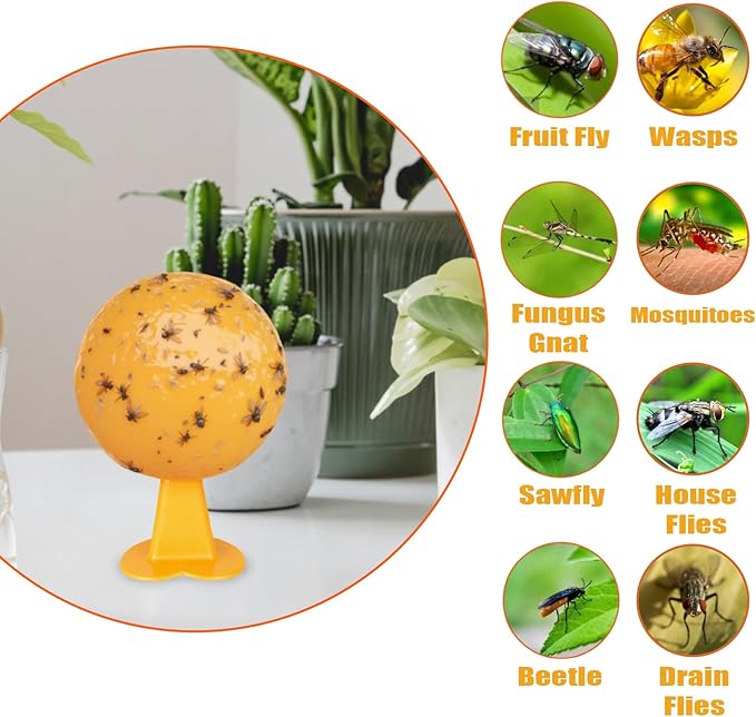 6 PCS Fly Trap Indoor Fly Sticky Ball, Hanging Fly Trap Outdoor Bug Gnat Trap Ball, Bug Catcher
