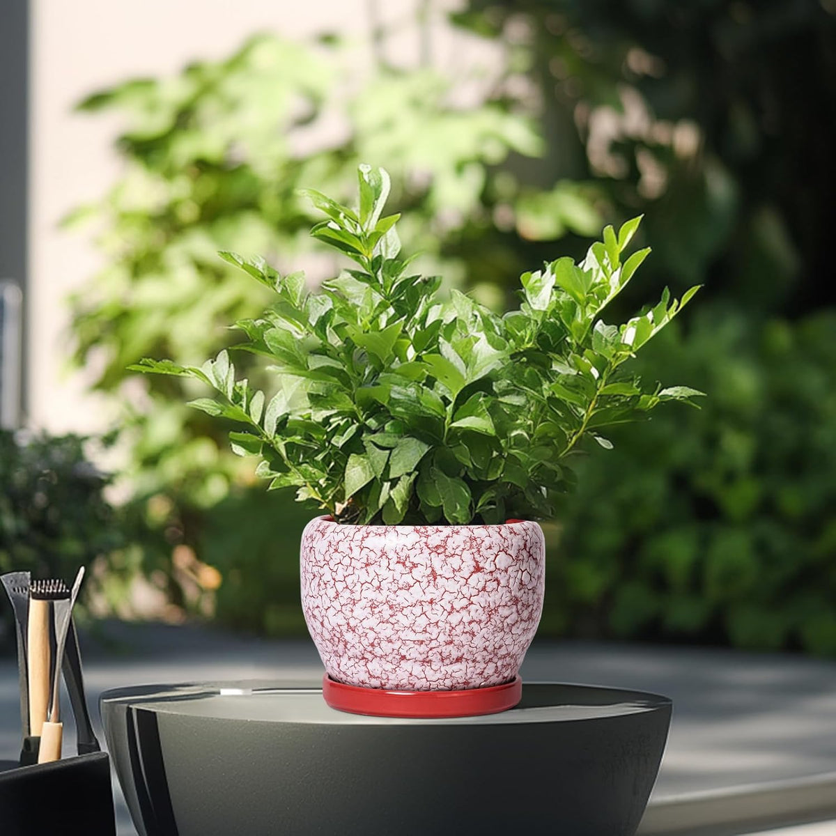 SQOWL 6 Inch Plant Pot - Ceramic Planter for Indoor Outdoor, Round Decorative Plant Pot with