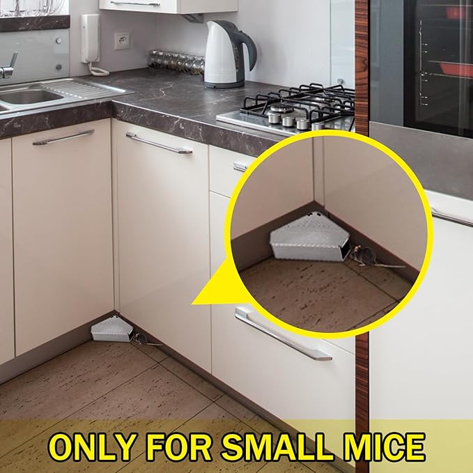 Qualirey 24 Pcs Mice Station with Key Triangle Bait Station Reusable Rodent Trap Bait Box, Keeps