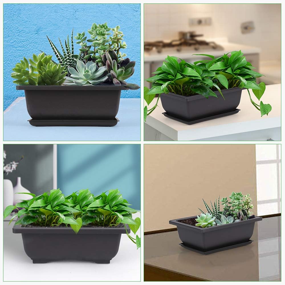 GROWNEER 6 Packs 6.5 Inch Bonsai Training Pots with Drainage Humidity Trays, Bonsai Tree Kits with